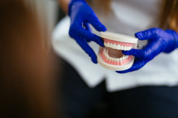 Best Pediatric Dentistry  in Parchment, MI